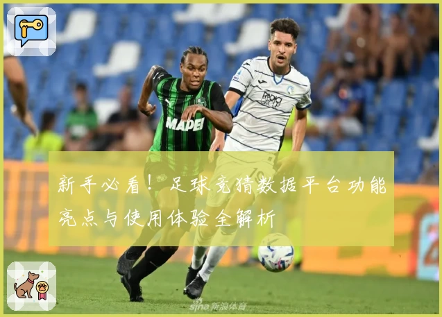 新手必看！足球竞猜数据平台功能亮点与使用体验全解析