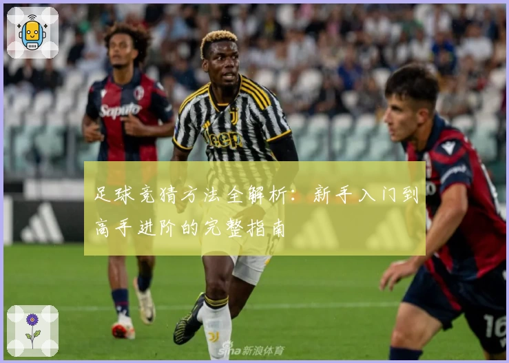 足球竞猜方法全解析：新手入门到高手进阶的完整指南