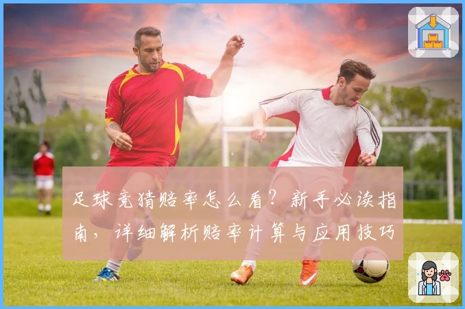 足球竞猜赔率怎么看？新手必读指南，详细解析赔率计算与应用技巧