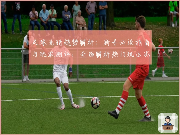 足球竞猜趋势解析：新手必读指南与玩家测评，全面解析热门玩法亮点