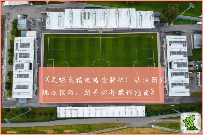 《足球竞猜攻略全解析:从注册到玩法技巧,新手必备操作指南》